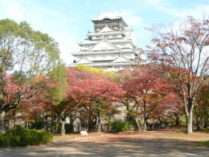 錦秋の大阪城 ＜クリックで拡大します＞